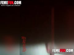 Cute dog licking her pussy - Animals porn