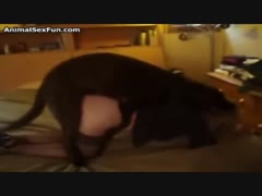 Girl free fucking dog sex videos