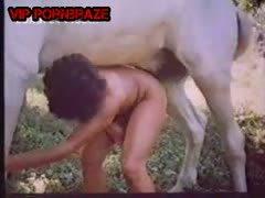 she trying big dick horse