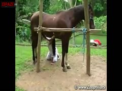 2 Blonde fucking Group With Horse