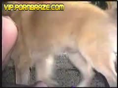 animal porn hd  - best girl rape by monser dog