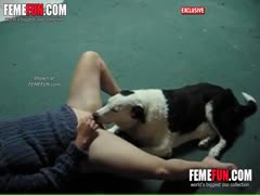Dog Porn HD Braze Free