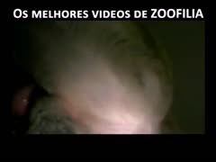 Bitch slut jump on big dog's cock - animal xxx
