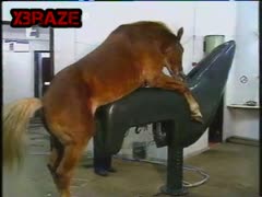 Sex Horse