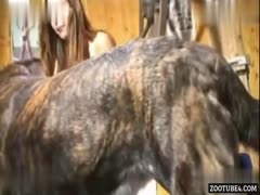 Unbelievable Moment: Lady Shocked by Dalmatian Mutt's Incredible Display of Love!