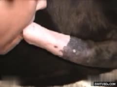 Shock and Horror: Fat Whore Viciously Attacked by Stallion in Stable - Shocking Video Captures the Scene!