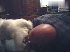 Outrageous! Old Man Caught in Zoophilic Act - Watch High Quality Video of Unbelievable Scene!
