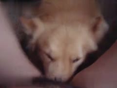 Woman Experiences Release From Stress By Letting Her Dog Lick On Her Shaggy Fur Pie - Watch Now!