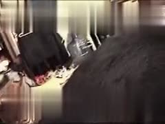 Black Dog's Pleasurable Surprise: A Dog's Unforgettable Encounter With a Sexy Wife's Muff!
