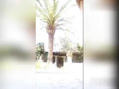 Happy Wife Gets Pussy Creamed After an Unforgettable Animal Sex Experience Outside While Hubby Watches!