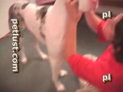 Classy zoofilia gay porno with a nice doggy free zoo porn dog watch animal sex xxx
