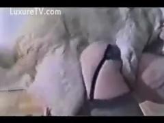 Curvy Doxy Bends Over and Gets Wildly Fucked by a Dog in Heat: Watch Zoo Porn Dog Sex, Zoophilia Free Zoo Porn Now!