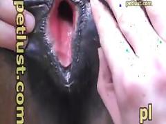 Extremely appealing and captivating animal sex genres include horse pussy fucking with actual gape.