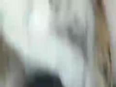 Zoofilia porn with fingering followed by some xxx top the biggest website for animal sex in the world