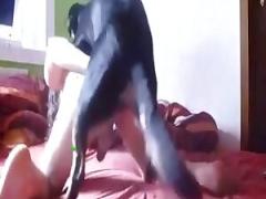 scene of a gay stud fiddling with dogs Free zoo sex videos of animals making love to girls and boys
