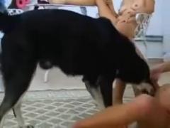 Watch and download this movie for free right now as two brunette chicks f*ck a dog.