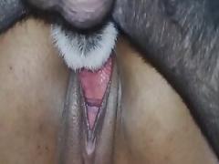 Only on our website can you view a hot dog beastiality porn movie with no cost to you.