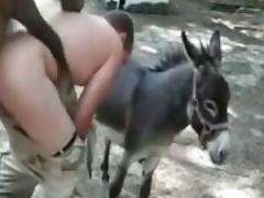 Only on our website can you get entertaining zoophilia porn with a hot fucking free porn film free animal sex