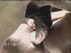Farm and zoo animals sex xxx videos for free Please choose a category for animal sex, especially for the most desirable zoo sex videos.