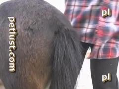 Animal sex xxx zoo man sucks horse dick Animal sex, especially that which takes place in zoos, is a popular genre please choose one.