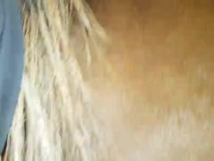 Deep fucking in a horse fuck film. Enjoy free animal sex videos and free porn videos only here on our site.