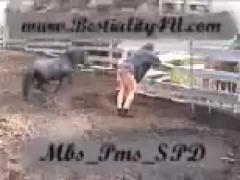 Pony Zoo Porn Xxx Top Fat Ass The biggest website for animal sex in the world