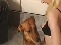 This video is free to watch and share.